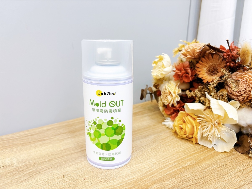 LabAvo MoldOUT噴噴霉防霉噴霧 (6).JPG
