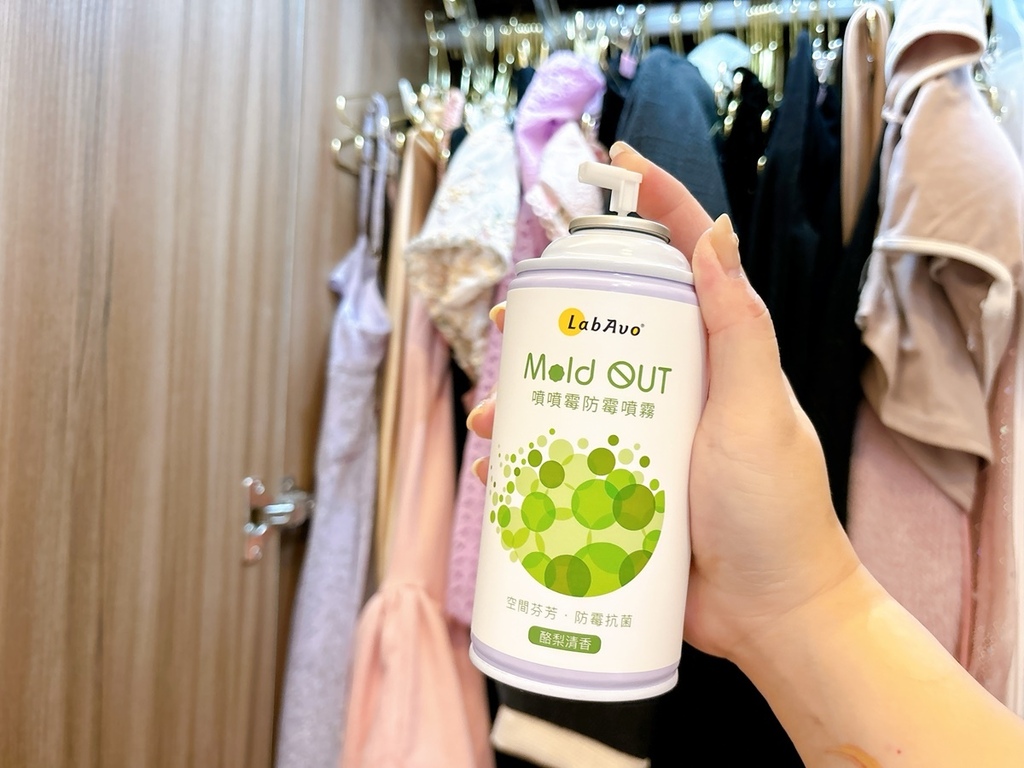 LabAvo MoldOUT噴噴霉防霉噴霧 (10).JPG