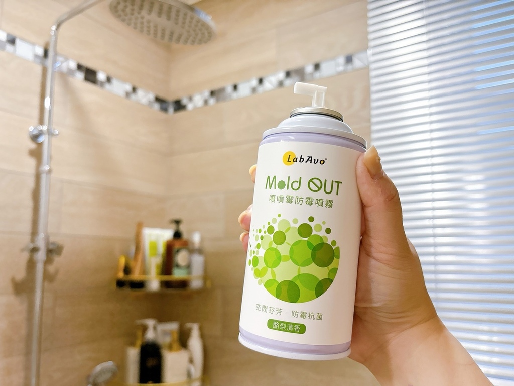 LabAvo MoldOUT噴噴霉防霉噴霧 (12).JPG