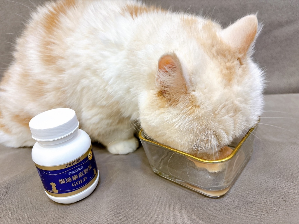 [寵物] 貓咪腸胃益生菌推薦 PS BUBU 酵素益生菌
