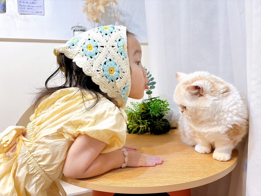 [寵物] CASADOSA 寵物家居 多功能貓窩奶酪桌 