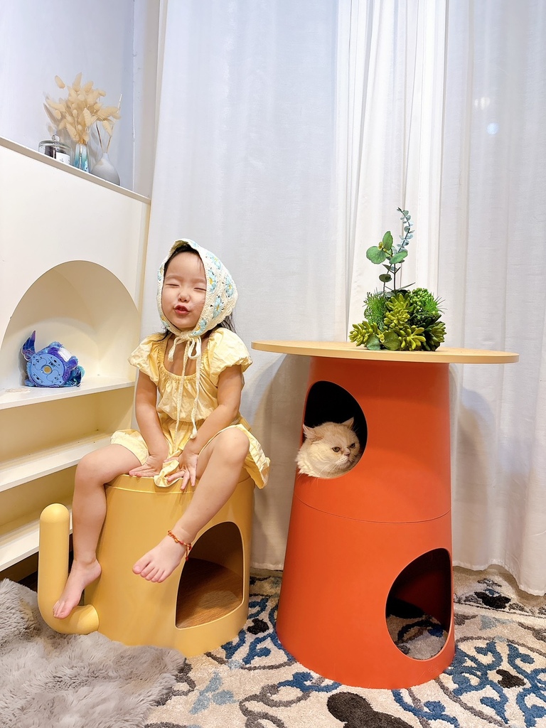 [寵物] CASADOSA 寵物家居 多功能貓窩奶酪桌 