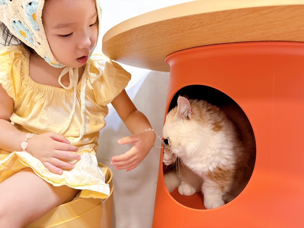 [寵物] CASADOSA 寵物家居 多功能貓窩奶酪桌 