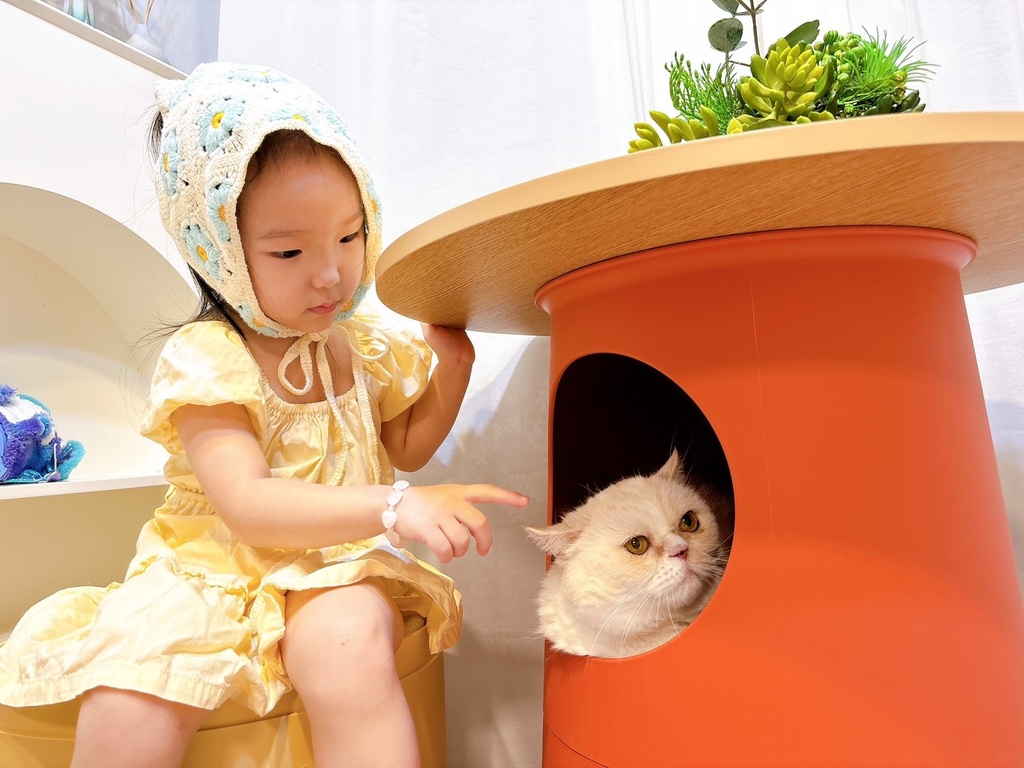 [寵物] CASADOSA 寵物家居 多功能貓窩奶酪桌 