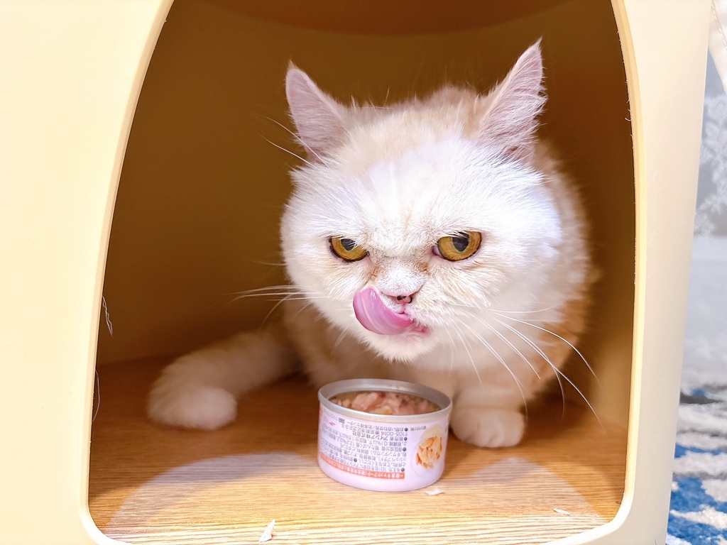 [寵物] CASADOSA 寵物家居 多功能貓窩奶酪桌 