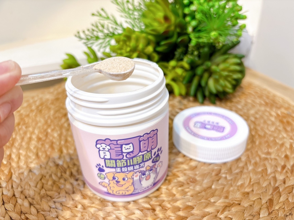 【寵物】犬貓關節保養推薦寵可萌關節膠原蛋殼膜粉 挑嘴貓 【寵物】犬貓關節保養推薦寵可萌關節膠原蛋殼膜粉 挑嘴貓