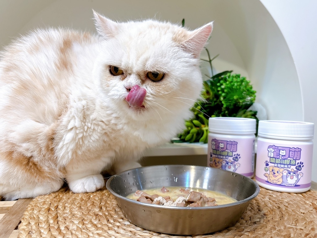 【寵物】犬貓關節保養推薦寵可萌關節膠原蛋殼膜粉 挑嘴貓 【寵物】犬貓關節保養推薦寵可萌關節膠原蛋殼膜粉 挑嘴貓