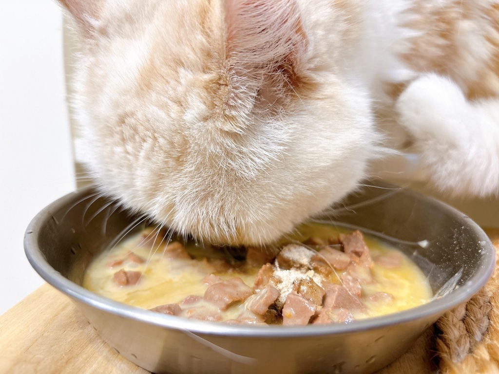 【寵物】犬貓關節保養推薦寵可萌關節膠原蛋殼膜粉 挑嘴貓 【寵物】犬貓關節保養推薦寵可萌關節膠原蛋殼膜粉 挑嘴貓