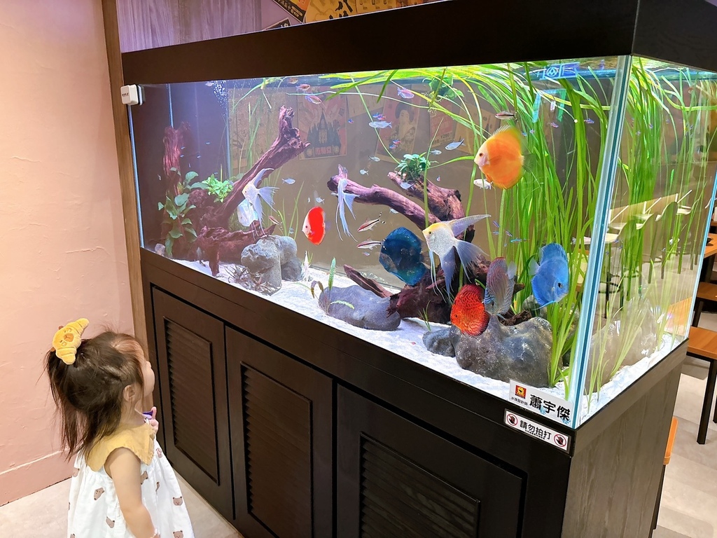 [美食] 柒息地串燒居酒屋 在中和開旗艦店啦 香氣濃到隔