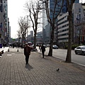 20150401_162140.jpg