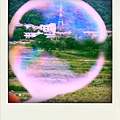 小泡沫看世界。
