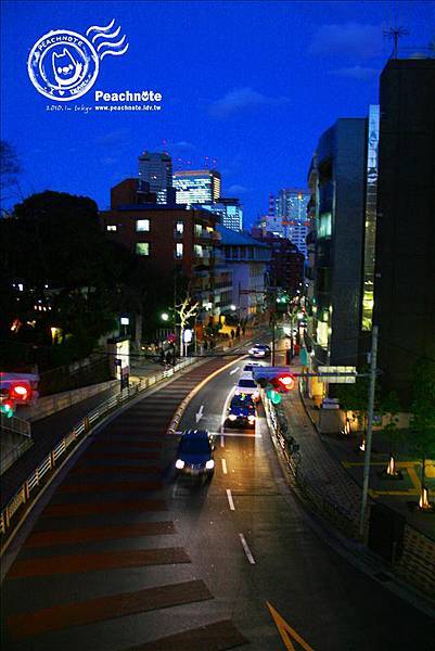 東京的夜景很迷幻。