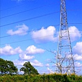 P1110239