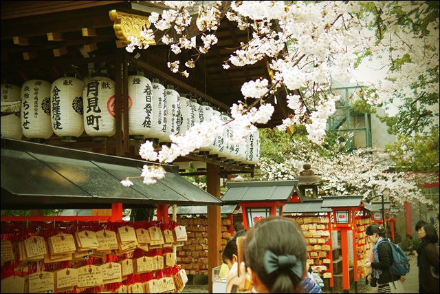 安井金比羅宮peachnote (22).jpg