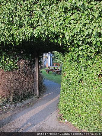 IMG_0702 IMG_0702