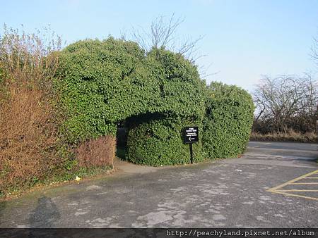 IMG_0700 IMG_0700
