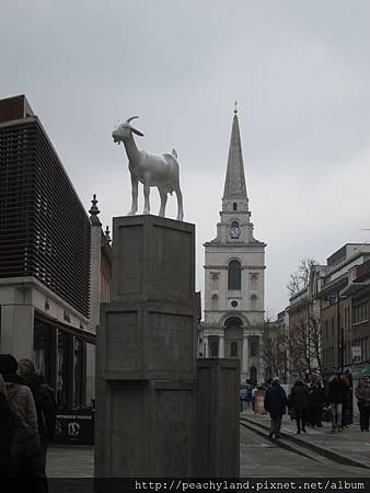 IMG_0658 IMG_0658