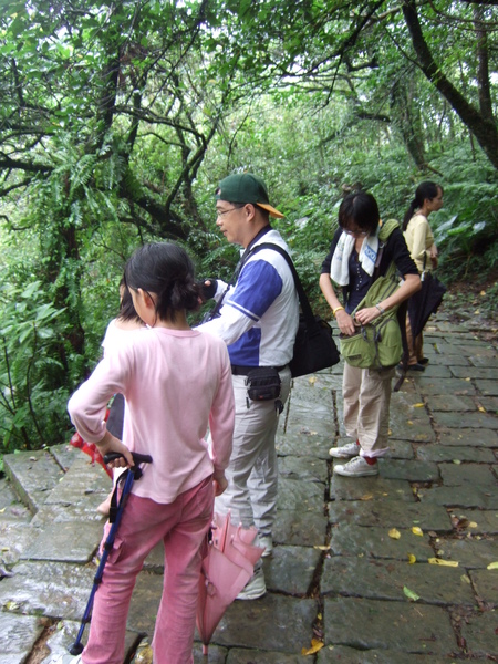 2008.10.25  草嶺古道的雨水 012.jpg