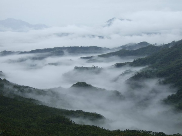 閱讀雲海4.jpg