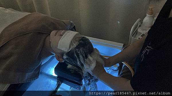 台北越式洗髮推薦