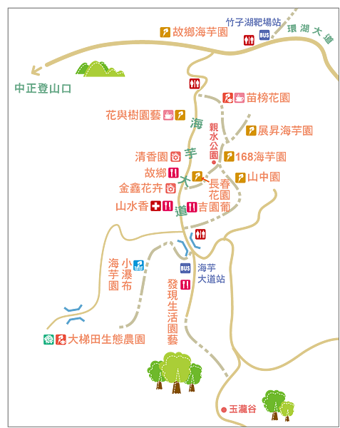 竹子湖海芋大道