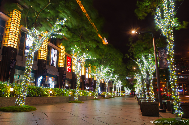 台北信義區夜景聖誕燈飾_台北101