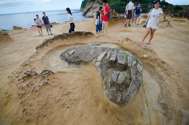 野柳地質公園_結核_波蘿麵包