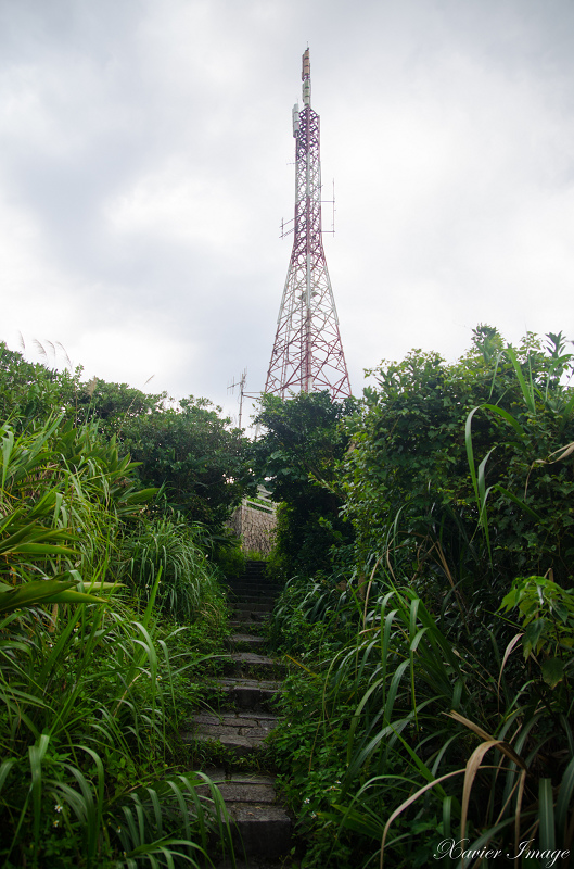 野柳地質公園_電塔