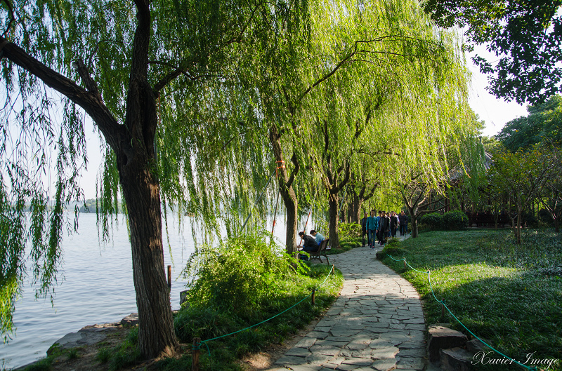 杭州西湖十景_蘇堤春曉