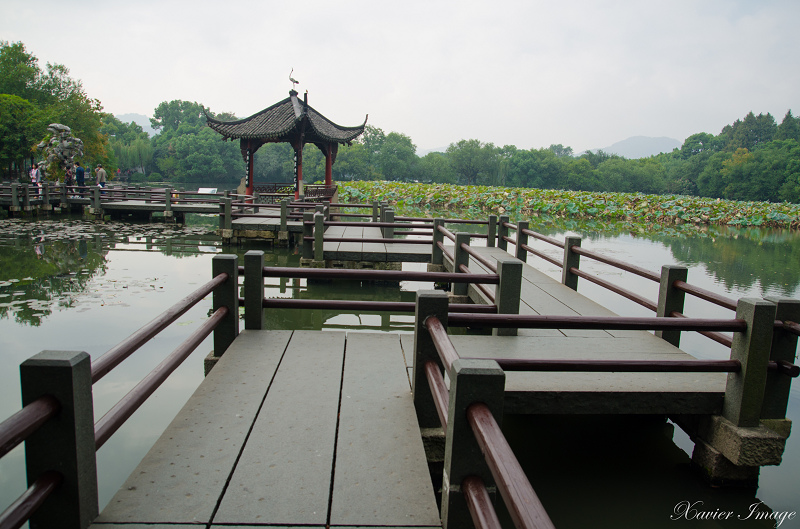 杭州西湖三潭印月_九曲橋