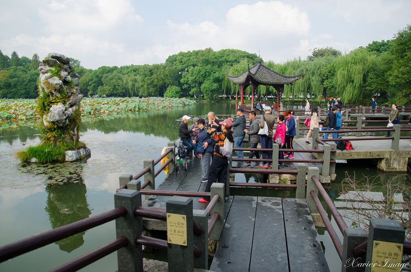 杭州西湖三潭印月_九獅石_九曲橋