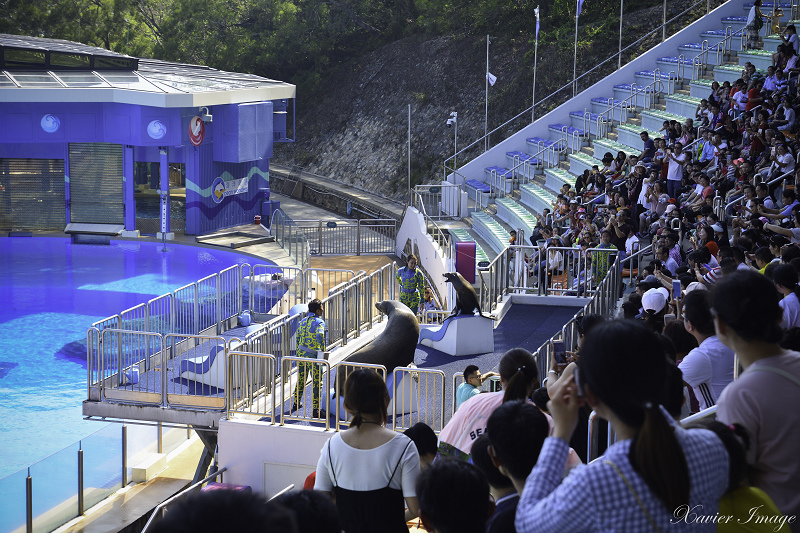 香港海洋公園_海洋劇場 3