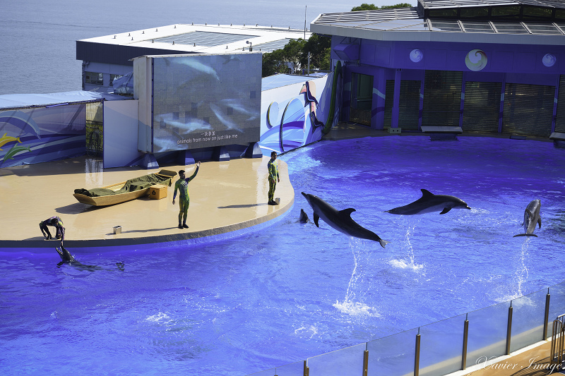 香港海洋公園_海洋劇場 8