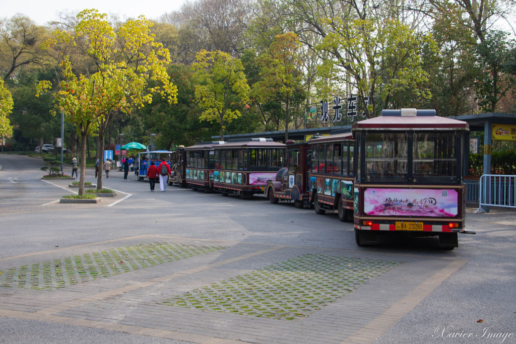 中國南京_中山陵_觀光車 2