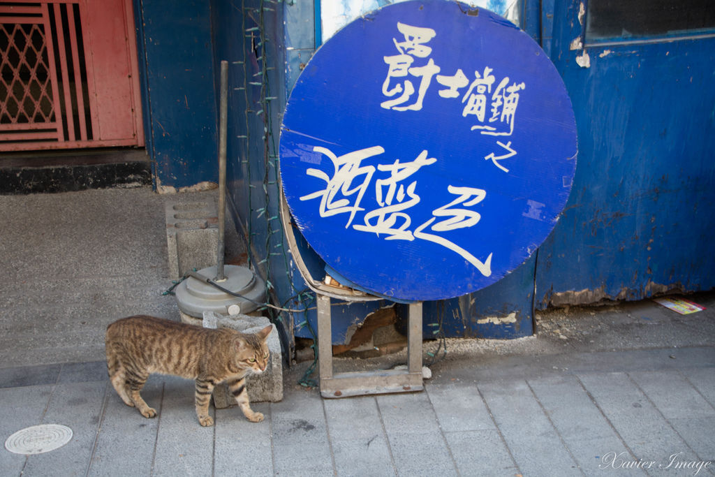 台南_蝸牛巷 22 台南_蝸牛巷 22