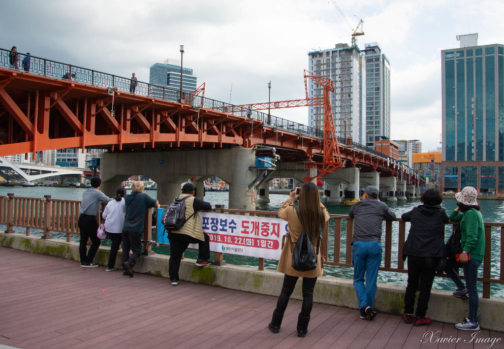 韓國釜山_影島大橋 2