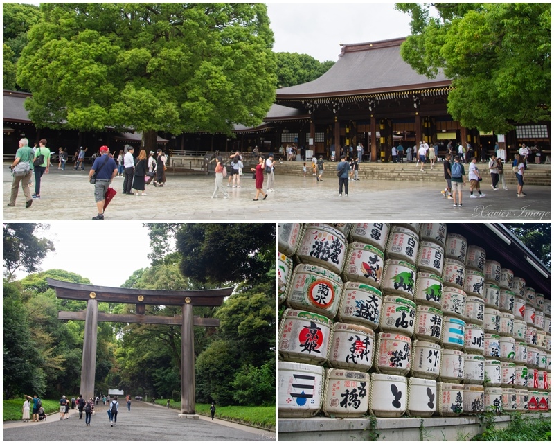 [遊記] 城市喧嘩中的寧靜和大自然綠意：明治神宮