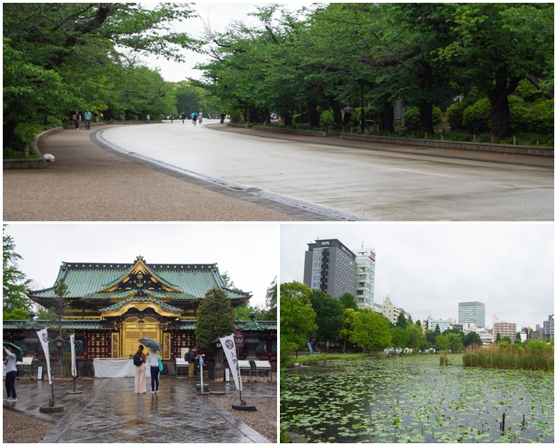 [遊記] 雨中漫遊上野恩賜公園