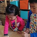 2015-03-29 10.24.39.jpg