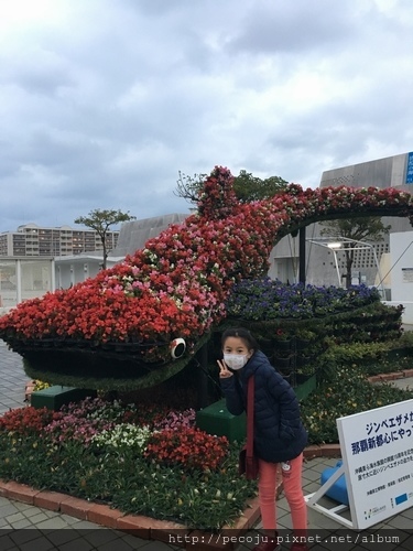2018-01-24 18.03.18.jpg