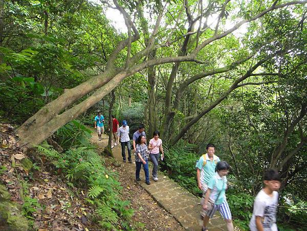 病友會登白鷺鷥山