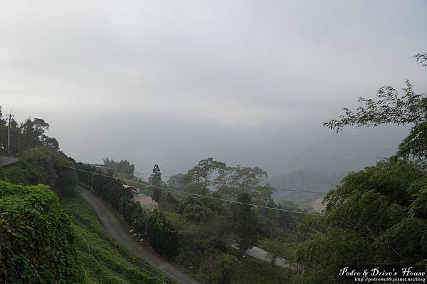 台灣旅遊pedro0330.jpg 台灣旅遊pedro0330.jpg