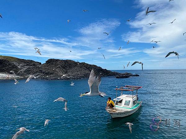 澎湖旅遊-pedro-0006.jpg 澎湖旅遊-pedro-0006.jpg