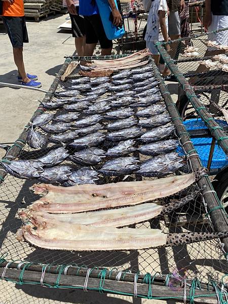 澎湖旅遊-pedro-0021.jpg 澎湖旅遊-pedro-0021.jpg