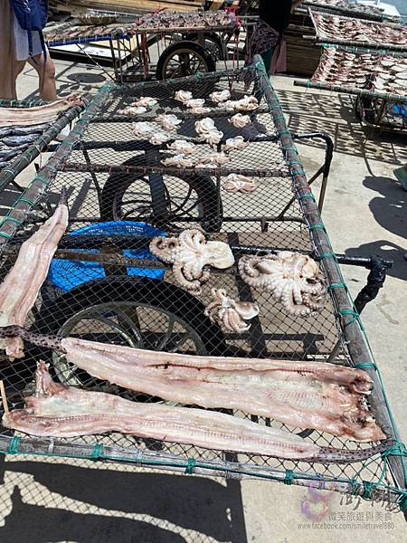 澎湖旅遊-pedro-0022.jpg 澎湖旅遊-pedro-0022.jpg