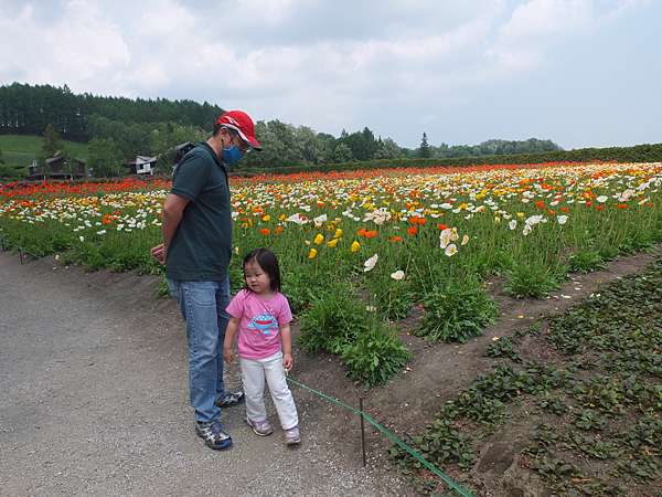 富良野玩到旭川part 2富田農場 美瑛的樹兒們 加樂比馬鈴薯餐廳宿旭川jr Inn 小伊的非日日記 痞客邦