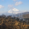 是富士山!!!