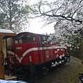 阿里山小火車1