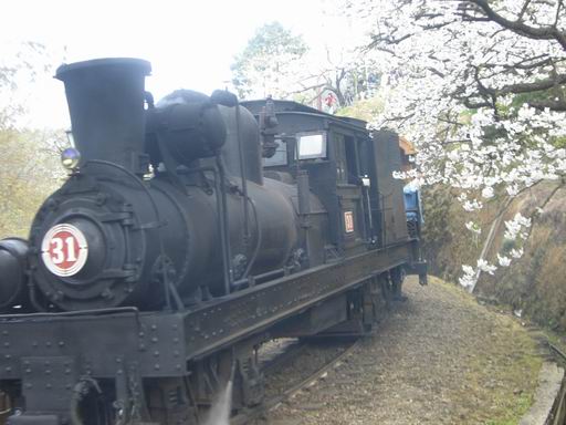 阿里山小火車3