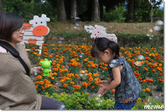 小瑞士花園_0005_調整大小.JPG